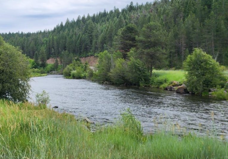 Warm River — on the water