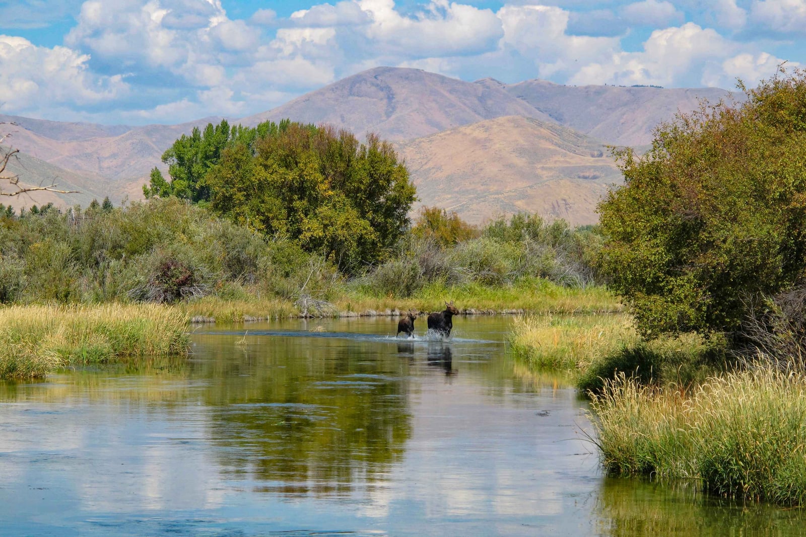 Silver Creek — on the water