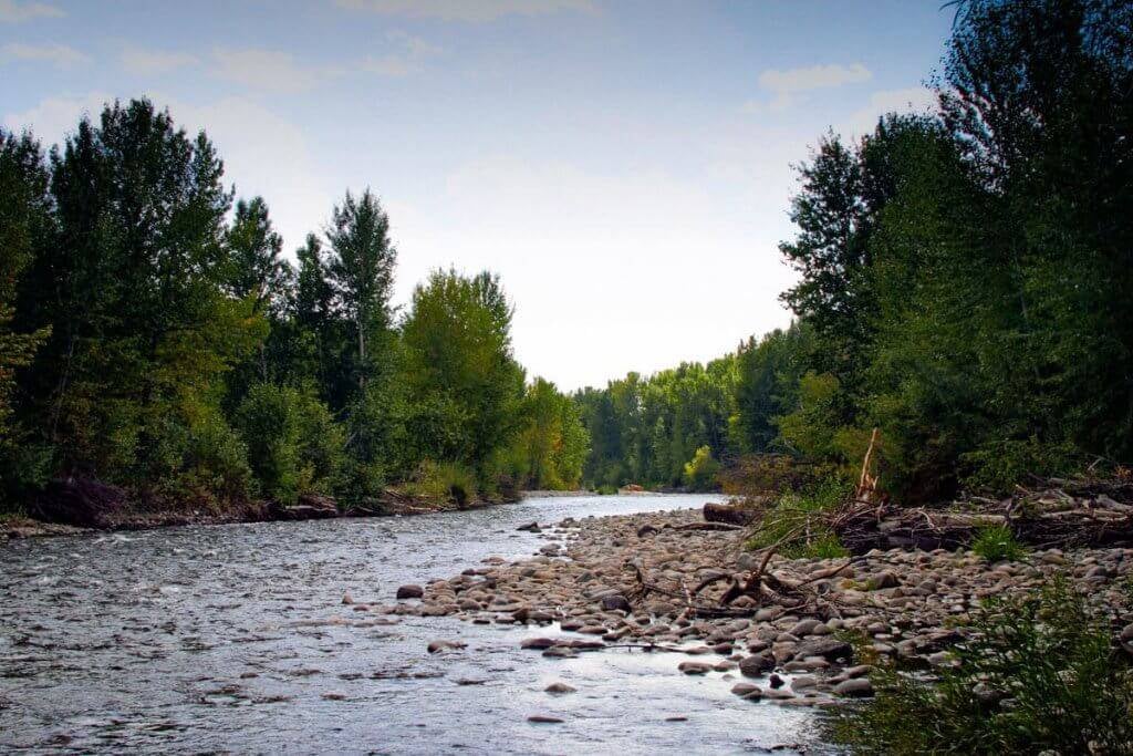 Little Salmon River on the water