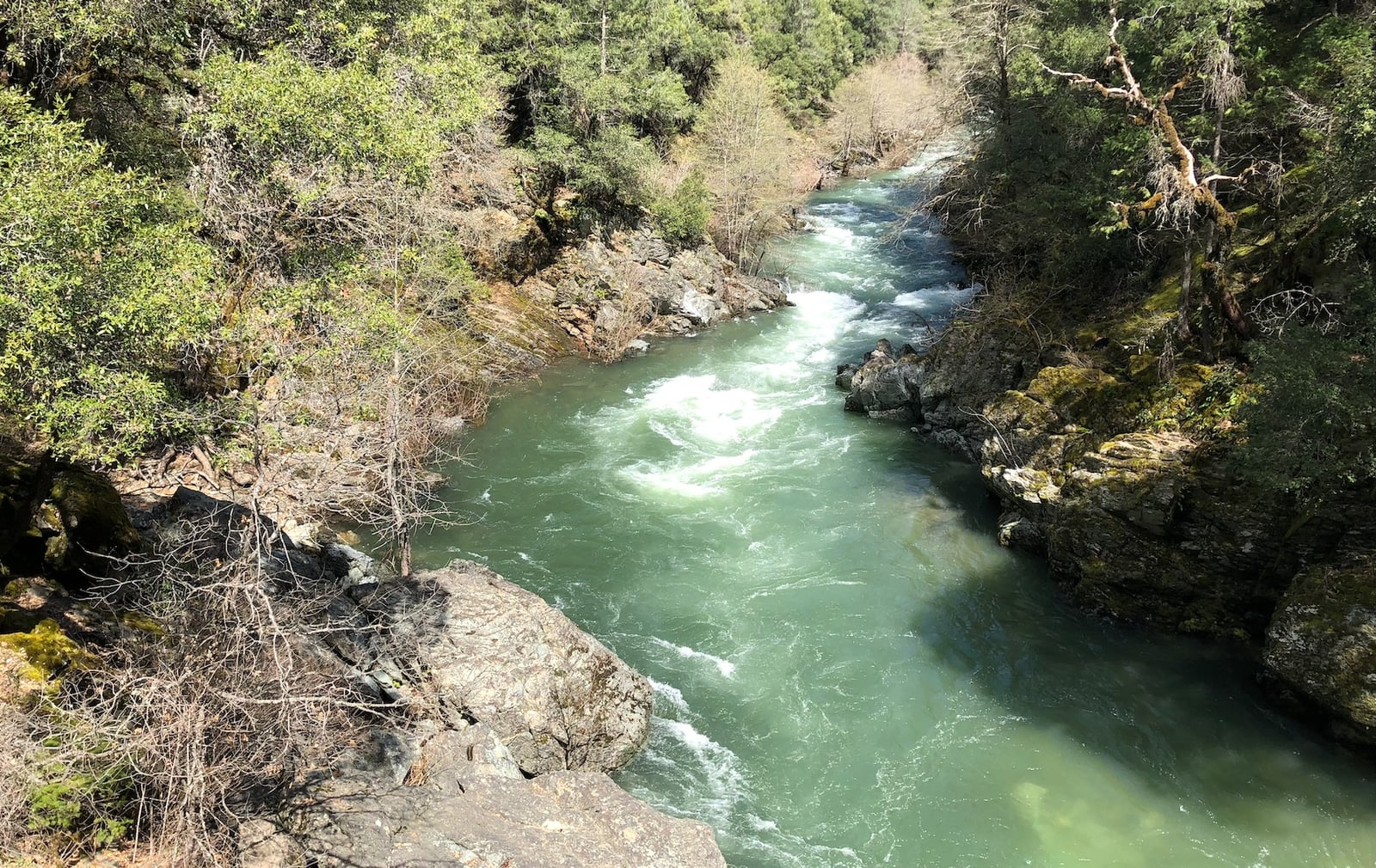 Deer Creek on the water