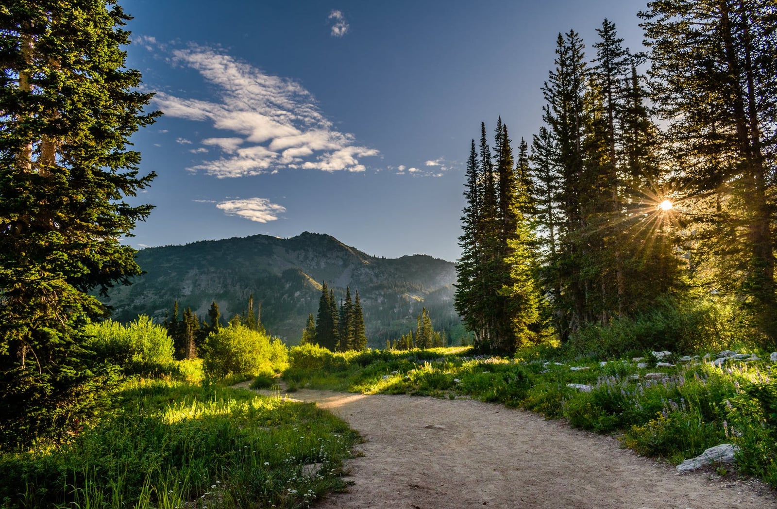 Juniper Mountain Outfitters INC