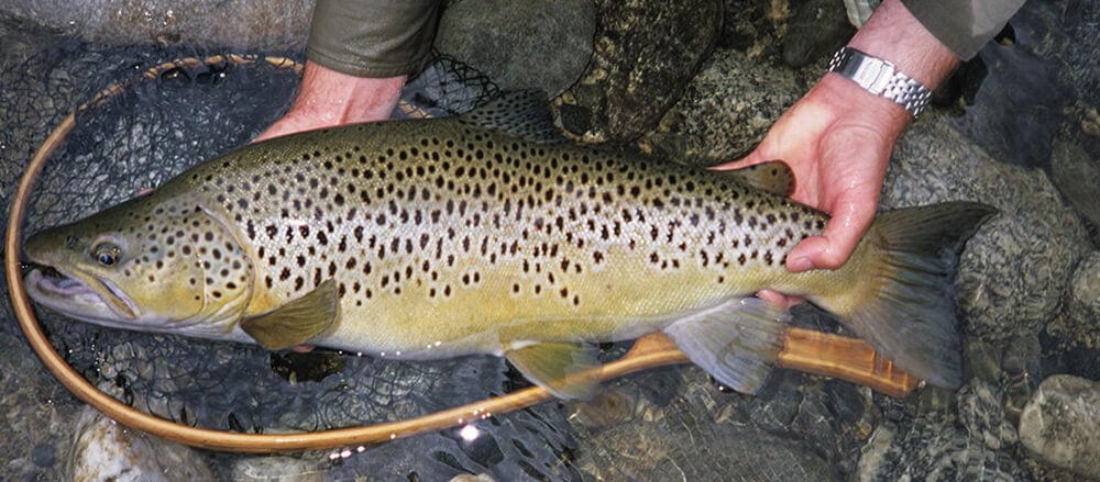 Idaho Angling Services LLC on the water