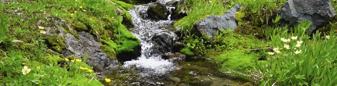 Castle Creek Guides LLC